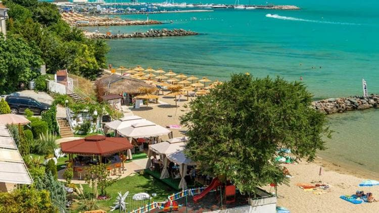IRIS ST.VLAS